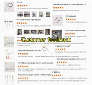 Tùy chỉnh ca100 PT100 cảm biến nhiệt độ điều khiển & kiểm soát nhiệt độ cụ bằng thép không gỉ IP65 OEM/ODM hỗ trợ - Product Image 4