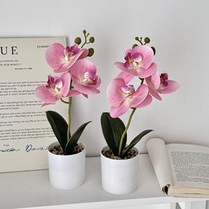 KX-01 bas prix vraie touche multicolore petite soie Fuax Phalaenopsis orchidées plante en Pot blanc fleur d'<span class=keywords><strong>orchidée</strong></span> artificielle en pot - Product Image 4