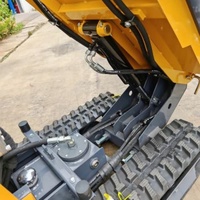 Mini-dumper compact léger avec une forte traction