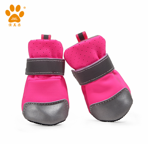 JML निर्माता रंगीन गर्मियों पालतू जूते कुत्ता मोजे के लिए मध्यम और छोटे आकार के कुत्ते चिहुआहुआ जूते - Product Image 4