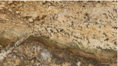 แชงกรี-ลา