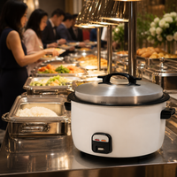Cuisinière à tambour commerciale avec options de prise de tension et de cuve intérieure personnalisables pour les projets de restaurants