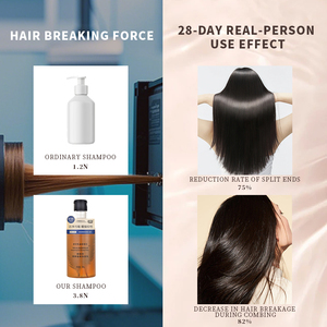 Commercio all'ingrosso di alta qualità per la cura dei capelli produttori di capelli naturali organici Anti-perdita Thuja Orientalis estratto <span class=keywords><strong>in</strong></span> <span class=keywords><strong>polvere</strong></span> <span class=keywords><strong>Shampoo</strong></span> a base di erbe - Product Image 5
