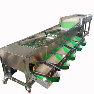 Walnut Mandarin Apricot Size Sorting Sort Grading Machine For Kiwi Fruits