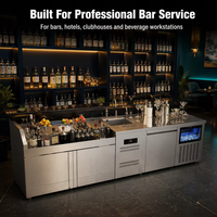 Harga Pabrik Stasiun Bar Koktail Modern dari Baja Anti Karat dengan Pembersih Gelas, Wadah Es, dan Partisi untuk Meja Bar Bartender