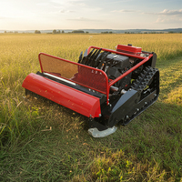Mesin Pemotong Rumput Bertenaga Tinggi Murah 900mm 1100mm Flail Robot Pemotong Rumput Crawler Dengan Sertifikat CE EPA