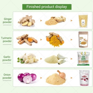เครื่องจักรผลิตผงขิงสำหรับโรงงานอุตสาหกรรมอัตโนมัติ สายการผลิตหัวหอม กระเทียม และผลิตภัณฑ์จากหัวหอม - Product Image 6