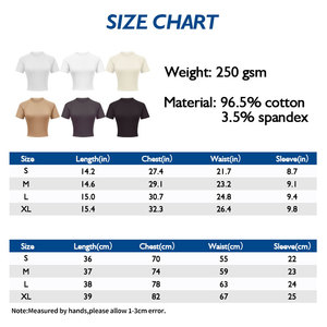 2025 Primavera Verano 250GSM Camisa recortada Indie Kid Estética Vintage Baddie Tee - Product Image 6