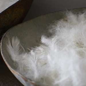Lông Vịt Trắng/Xám Đã Rửa 2-4 Cm - Product Image 2