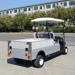 Voiturette de golf classique 2 places 2025 avec phares LED, vitesse 30 km/h, autonomie 30-50 km, batterie 48V, homologuée EEC/DOT/CE/GCC, modèle 202 - Product Image 4