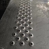 Grille de sécurité perforée antidérapante O Grip pour marches d'escalier en colimaçon extérieures