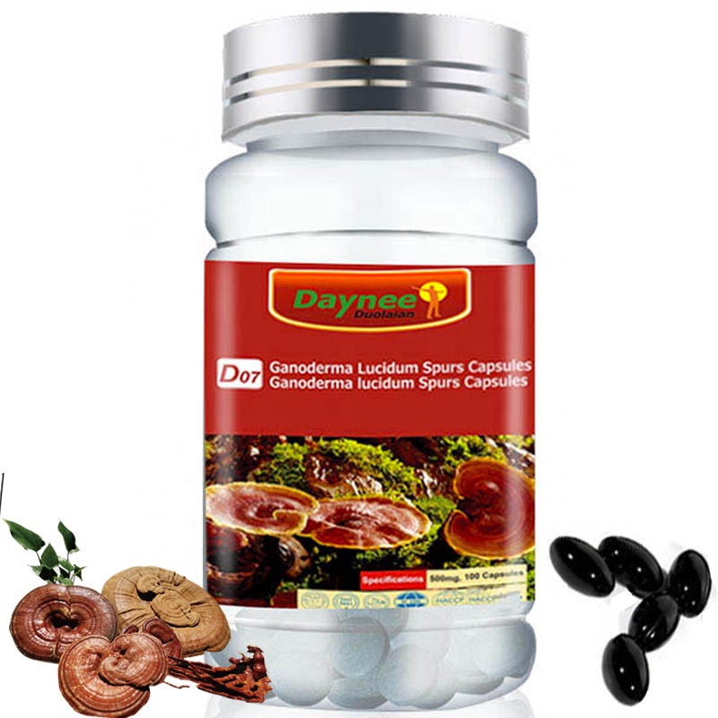 개인 상표 초본 보충 진짜 ganoderma Lucidum Reishi 추출물 캡슐 500mg Reishi 버섯 캡슐