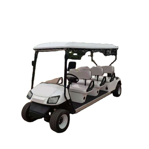 Weliftrich 8 Passenger Electric Tourist Golf Cart Battery Sightseeing Bus - Product Image 3