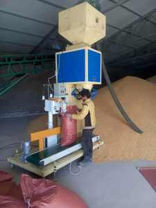 Máquina de Pesaje, Llenado y Empaquetado de Bolsas Doypack para Chips - Product Image 2