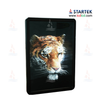 Pantalla LCD 3D sin Gafas de 32 Pulgadas, 2400x3600, Holográfica, Estereoscópica, Imagen 3D, 1.07B Colores, Visualización Ultra Ancha, Gran Profundidad