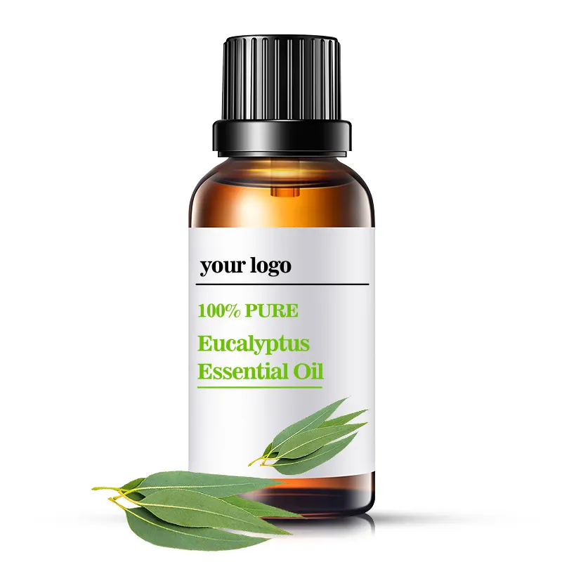 Minyak esensial eukaliptus organik curah untuk pelega Sinus, pelega mampat, meredakan sakit kepala, mual, meningkatkan pertahanan
