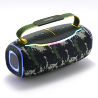 Système Stéréo TWS Multifonctionnel Portable Haute Puissance pour Haut-parleur Subwoofer, Entrées USB et AUX, Éclairage RGB, Étanchéité IPX6
