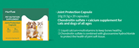 Capsule pour chien et chat, 50/2022 ml, joints au lait pour animaux domestiques, soins de santé, supplément à la vitamine, doux