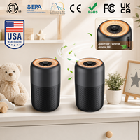 Purificateur d'air de bureau à marque privée pour la maison et le bureau, avec fonction veilleuse aromathérapie, pour appartement et bureau, compatible OEM ODM CE FCC