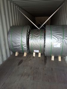 BOTHWIN Cinta transportadora resistente al calor para <span class=keywords><strong>pirita</strong></span> calcinada y ácido sulfúrico en camas fluidizadas, para el manejo de mineral roscado en plantas de ácido - Product Image 6
