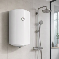 Chauffe-eau électrique vertical en acier inoxydable 30L 50L 80L 100L 2kW avec réservoir émaillé pour douche chaude domestique et salle de bain