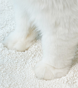 Manyok kedi kumu hafif doğal bitki bazlı çöp hızlı emilim düşük izleme yapışmaz kutu <span class=keywords><strong>Kitty</strong></span> çöp - Product Image 6