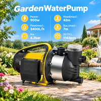 Pompe à eau de surface auto-amorçante portable 900W avec tête en acier inoxydable pour l'irrigation de jardin et le transfert d'eau