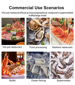 Offre Spéciale : Machine à Glaçons en Flocons 300kg/500kg/1tonne/2tonnes/3tonnes avec Stockage <span class=keywords><strong>de</strong></span> Glace pour la Pêche – <span class=keywords><strong>Prix</strong></span> Compétitif - Product Image 4