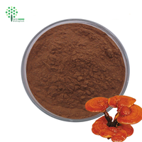 Capsules OEM personnalisées de champignons Lion's Mane, Cordyceps, Turkey Tail, Maitake, Reishi, Chaga