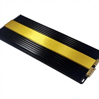 Amplificateur de puissance numérique pour voiture mono 12V classe D monocanal 4000W Modèle W-K3500.1D