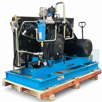 Compresor de Aire de Pistón AirHorse de Alta Presión (40 Bar/30 Bar) de 1.0m³/min a 8.0m³/min, 11kw, 15kw, 22kw para Soplado de Botellas PET
