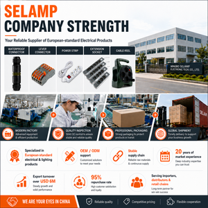 Connecteurs <span class=keywords><strong>de</strong></span> fils à sertir isolés transparents en PC 32A 450V pour applications automobiles et marines, kit d'assortiment <span class=keywords><strong>de</strong></span> 100 pièces pour projets <span class=keywords><strong>de</strong></span> bricolage à domicile - Product Image 4