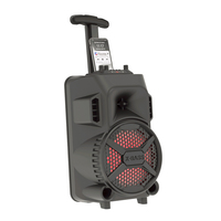 Enceinte Bluetooth pour fêtes, 20W, basses puissantes avec lumières DJ, appariement TWS, micro karaoké, 10 heures d'autonomie pour l'extérieur et l'intérieur