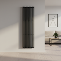 Radiateur intérieur noir à double panneau personnalisable à faible coût d'exploitation pour système de chauffage domestique