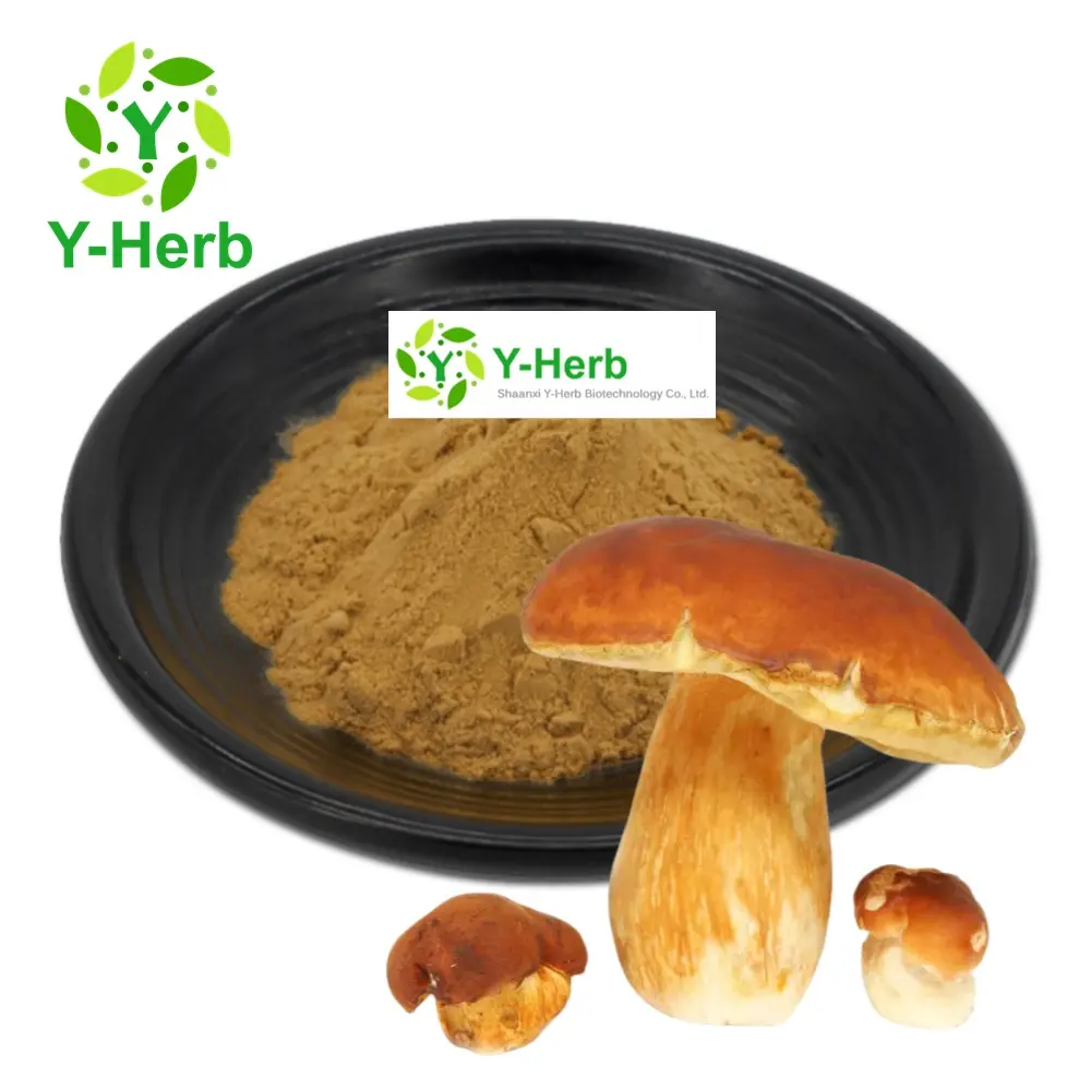 Boletus Champignon Extract/Eekhoorn/Cepes Extract Poeder Polysaccharide Boletus Edulis Poeder 10% 30% 50% Boletus Edulis Extract