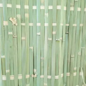 Verde SUKKAH Estera de bambú de rafia