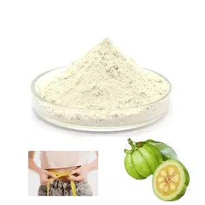 suppliers Slimming 50% garcinia cambogia fruit extract powder 60% hydroxycitric acid
