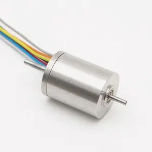 Custom OEM High Torque Mini 12V 24V 48v 16mm 20mm 22mm 28mm 32mm Brush Bldc Brushless Dc Motor Coreless Motor