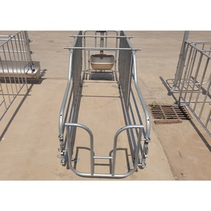 Équipement d'élevage porcin : <span class=keywords><strong>Cage</strong></span> d'élevage durable pour truies gestantes - Product Image 2