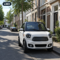 Voiture électrique compacte 2 places certifiée Russie, 72V 120Ah, batterie au plomb, pour trajets urbains, stationnement facile