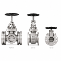 Vanne à opercule industrielle à bride en acier CF8M Classe 150 LUOKEFM Z41H-150LB à opercule métallique, pour eau douce, -29~425, garantie 1 an