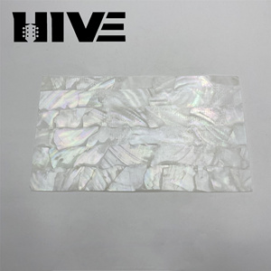 HIVE Wholesale Exquisite Pure Natural Paua Mother Pearl Abalone <strong>Shell</strong> Sheet Decorative White <strong>Shell</strong> Paper for Guitar Decoration - Product Image 4