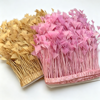 Frange en plumes de dinde pour anniversaire, carnaval, Halloween, bal masqué, accessoires de costume de cosplay et décoration environnementale