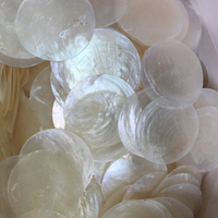 Coquillages de Capiz Naturels Bruts en Gros, Coquillages de Capiz Blancs pour Cartes d'Invitation de Mariage DIY