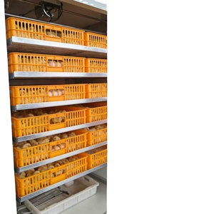 ตู้ฟักไข่อัตโนมัติ 1056 ฟอง สำหรับฟักไข่ไก่ เป็ด ห่าน นกพิราบ ไข่บัลต์ - Product Image 3