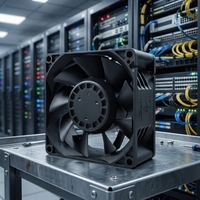 DC-Server-Lüfter 12V/24V Axialer Luftstrom Kugellager Kunststoffblätter OEM/ODM