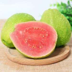 الجملة السائبة Psidium جواجفا L. مسحوق أوراق الجوافة 10:1 مستخلص أوراق الجوافة - Product Image 3