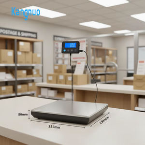 고정밀 USB 충전식 스테인레스 스틸 200kg 바닥 기계 계량 소포 스케일 디지털 스케일 플랫폼 - Product Image 1