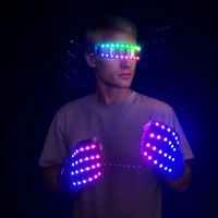 Accessoires lumineux de carnaval de haute qualité avec accessoires de fête illuminés et ballon de plage lumineux et accessoires de fête à LED clignotants