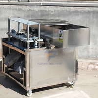 Eetbare Dadels Palmen Longan Snoeien Arbutus Fruit Pitter Dadelzaad Verwijdermachine